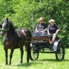 krtinska_deteljica__016.jpg