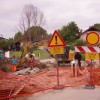dobravica_1.jpg