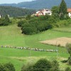 dsc07221_resize_000.jpg