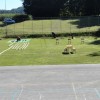 dsc00445.jpg