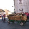 povorka_081.jpg