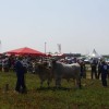 p8250169_000.jpg