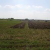 p8260255_000.jpg