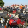 img_8162_9_1_000.jpg