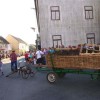 povorka_082.jpg