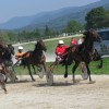 dirke_002_0002.jpg