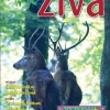 ziva_08.jpg