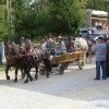 img_8371_28_1_000.jpg