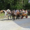 img_8357_19_1_000.jpg