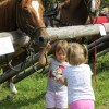 img_8398_38_1_000.jpg
