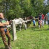 img_8403_42_1_000.jpg