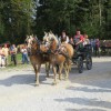 img_8345_13_1_000.jpg