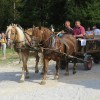 img_8352_17_1_000.jpg