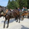 img_8339_10_1_000.jpg