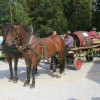 img_8360_21_1_000.jpg