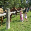 img_8401_40_1_000.jpg