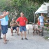_grcevje__01_.jpg