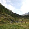 img_7888_000.jpg