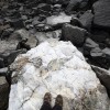 img_8096_000.jpg