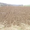 p9100090_000.jpg