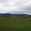 p9110086_000.jpg