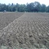 p9100080_000.jpg