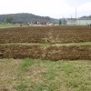 p9100074_000.jpg