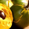 lucuma.jpg