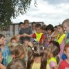 bogomolka___2.jpg