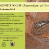 plakat_popoldan_s_polhi_2016.jpg