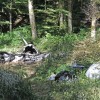 Od strmoglavljenega letala ni ostalo veliko.