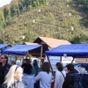 img_4115_000.jpg