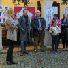 _sevnica__46_.jpg