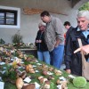 pkj_2016__sobota__8_10_2016__bp__363_.jpg