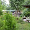 img_7274_1_1.jpg