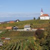 img_0958.jpg