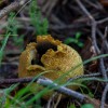 img_4234.jpg
