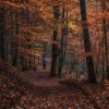 img_5887desat.jpg