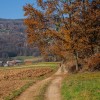 img_9855.jpg
