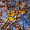 img_9837.jpg