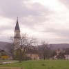 vezica_001.jpg