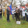 _cebelnjak__18_.jpg