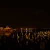 img_1373.jpg