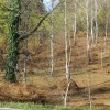 img_9283_10_1_000.jpg