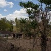 img_0394.jpg