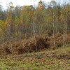 img_9278_6_1_000.jpg