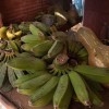 img_0352.jpg