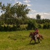 img_1208.jpg