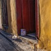 img_1464.jpg