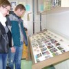 smarjeta_015.jpg